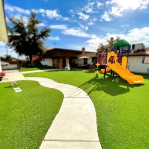 Photo of SYNLawn Las Vegas