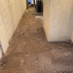 Photo of SYNLawn Las Vegas