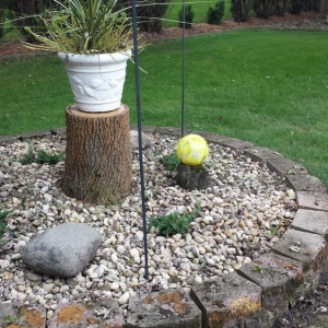 Photo of Jesse's Lawn Care Service