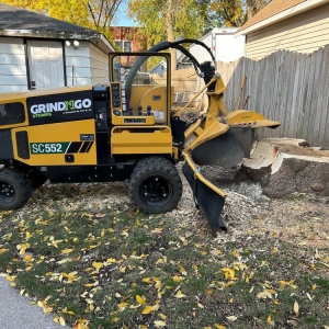 Lannon GrindNGo Stumps