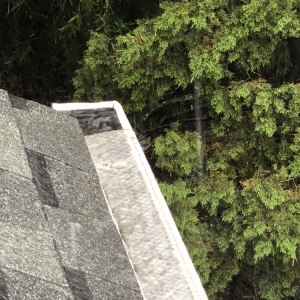 Photo of Lakeline Seamless Gutters