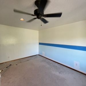 Photo of Adson Painting
