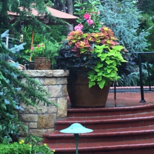 Photo of Sherwood Gardens Landscape Design & Development