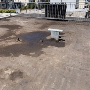 Photo of Junk Removal Same Day Service