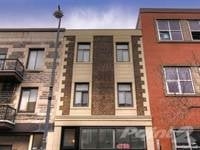New York Best Property & Building Management