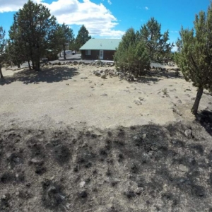 Photo of Wildland Fire Service