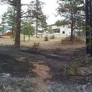 Photo of Wildland Fire Service
