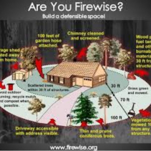 Photo of Wildland Fire Service
