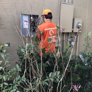 Tarpon Springs Unicity Solar Energy