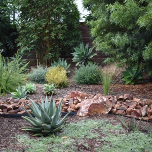 Photo of Melissa Langer Landscape Architecture
