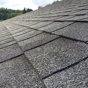Photo of IBEX Roof