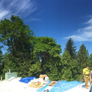 Photo of IBEX Roof
