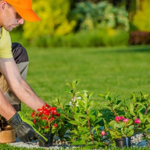 Redmond Bear Creek Landscaping & Construction