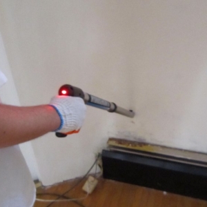 Photo of Indoor Mold Specialist