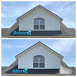 Photo of Jax Pro Pressure Washing