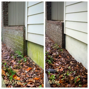 Photo of Jax Pro Pressure Washing