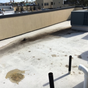 Philadelphia Peer Property Management