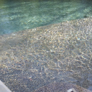 Photo of Wise Pool & Spa Service