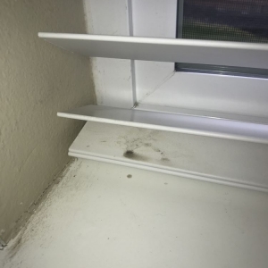Photo of AAA Blind Cleaning & Repair