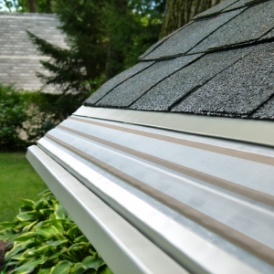 Photo of Clean Gutter Protection