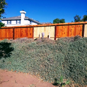 Photo of Allied Fence