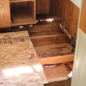 Photo of 24/7 Flood & Fire