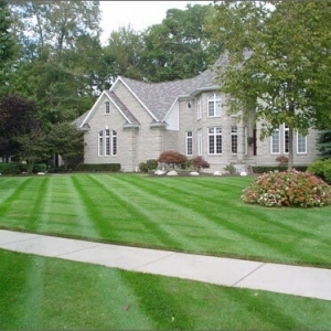 Photo of The Under Cutters Lawn Care