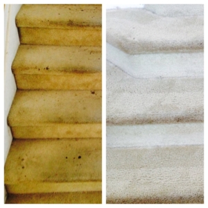 Photo of San Diego Carpet Cleaning