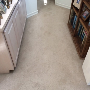 Photo of San Diego Carpet Cleaning