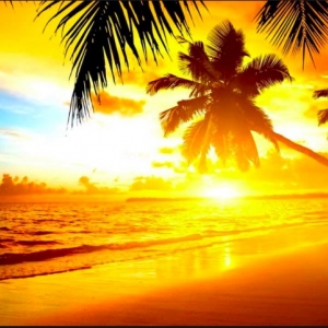 Photo of Sunshine Cleaning Service of Ocala