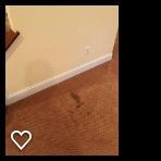Photo of Bring Back My Floors