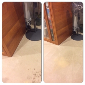 Photo of Bring Back My Floors