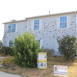 Photo of Amg Roofing & Construction