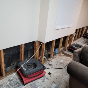 Cranford PuroClean Restoration Services