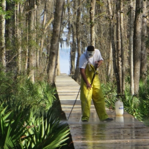 Photo of Sunshine Cleaning Service