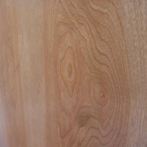 Photo of Zeigler Interior Scapes