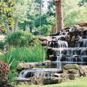 Magnolia New Yards Landscape Company
