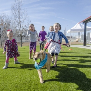 Photo of ForeverLawn Texas