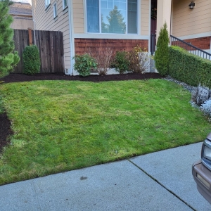Seattle Independent Martinez Landscaping