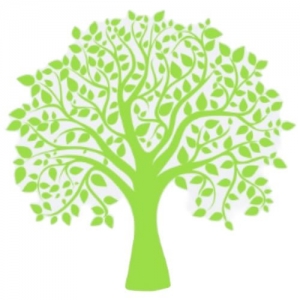 Photo of Tree City Gutters