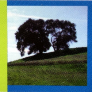 San Jose Almaden Property Management