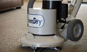 Photo of Massey's Chem-Dry