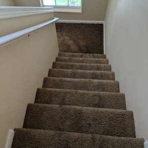 Photo of Carpet MD