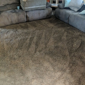 Photo of Carpet MD
