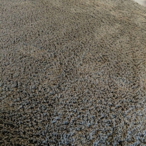 Photo of Carpet MD