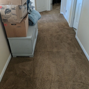 Photo of Carpet MD