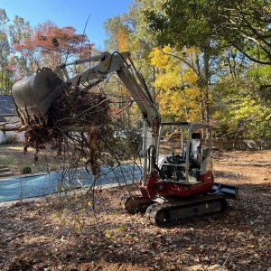 Photo of Apex Land Clearing & Development