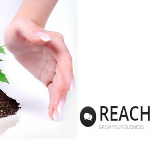 Photo of Reach Web Solutions