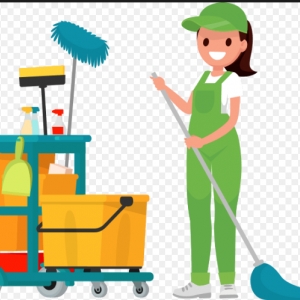 Photo of Classy Cleanup Services