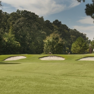Photo of The Greens At Hurricane Creek Apartments
